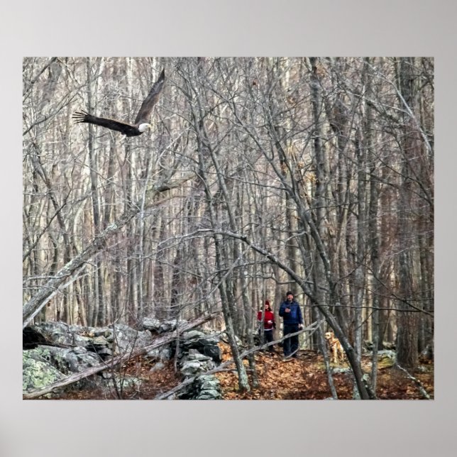 Bald Eagle Encounter Poster (Vorne)