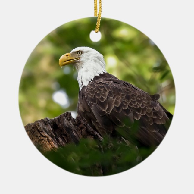 Bald Eagle Erholung Stopp Keramikornament (Vorne)