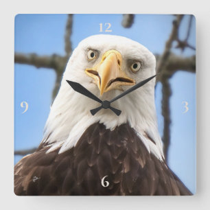 Bald Eagle Face Funny Kunstfotografie Quadratische Wanduhr