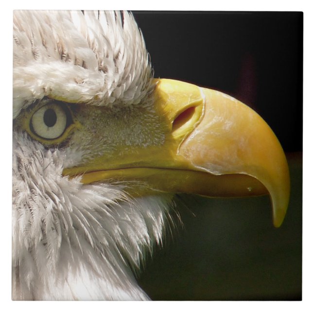 BALD EAGLE FLIESE (Vorderseite)