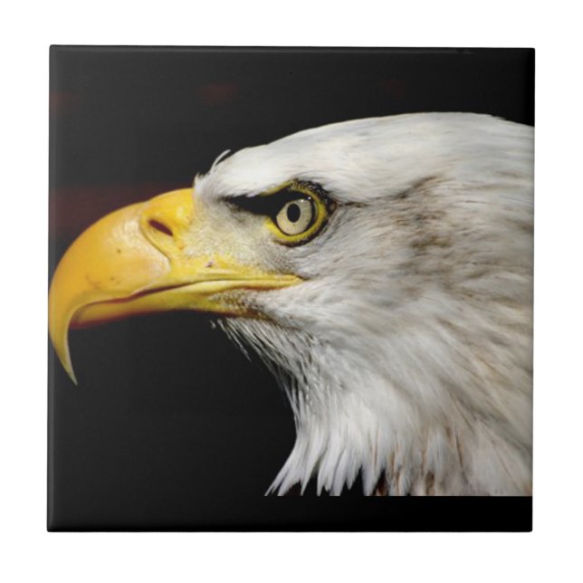 Bald Eagle Fliese (Vorderseite)