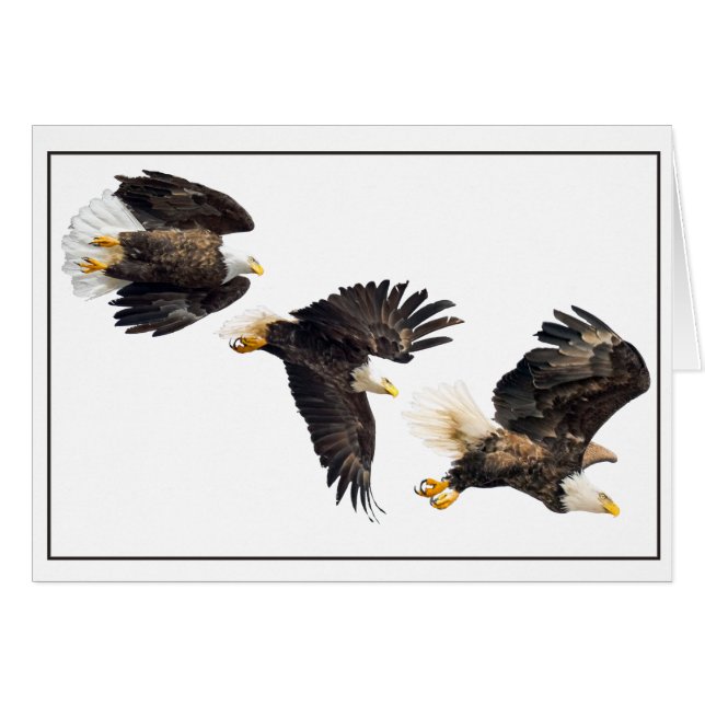 Bald Eagle Flight (Vorderseite (Horizontal))