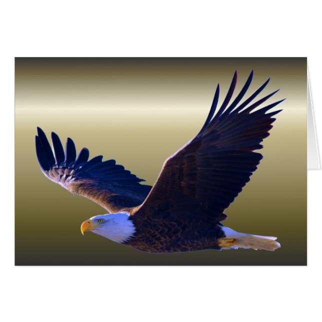 Bald Eagle Flying (Vorderseite (Horizontal))