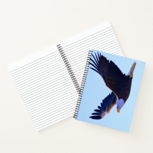 Bald Eagle Flying Notizbuch