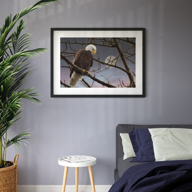 Bald Eagle Full Moon Majestic Eagles Poster (Von Creator hochgeladen)
