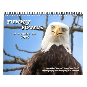 Bald Eagle Funny Fowls Bird Fotografy 2025 Kalender
