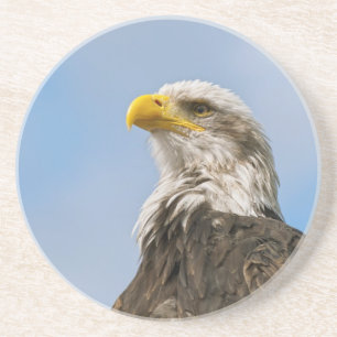 Bald Eagle Getränkeuntersetzer