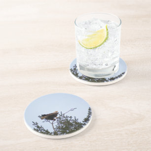 Bald Eagle Getränkeuntersetzer