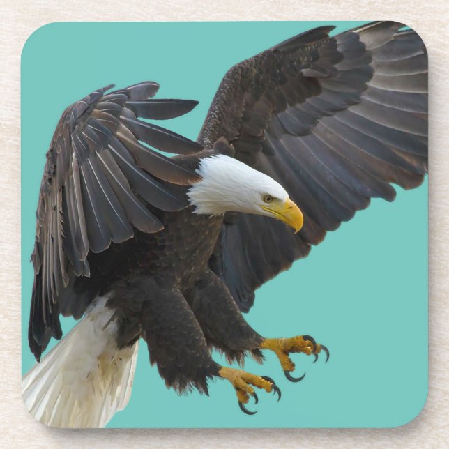 Bald eagle getränkeuntersetzer (Vorderseite)