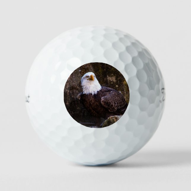 Bald Eagle Golfball (Vorderseite)