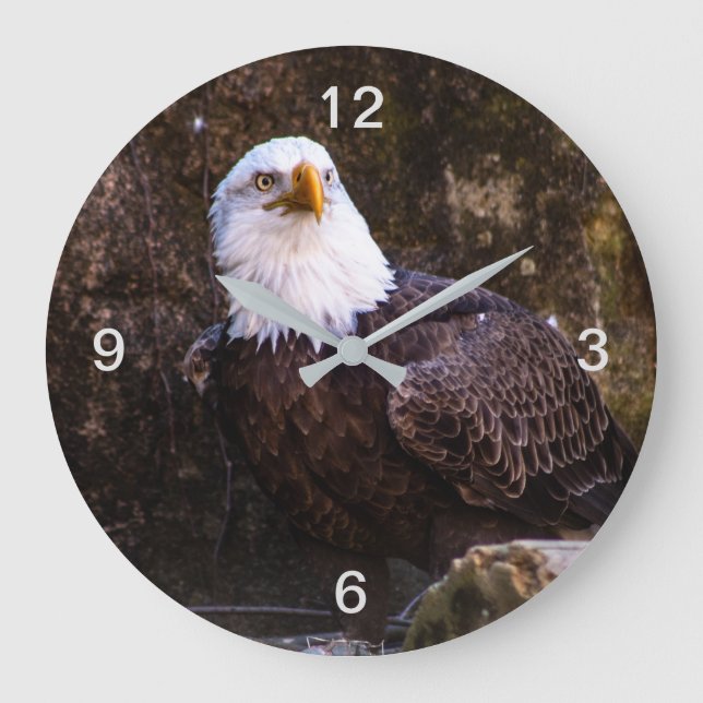 Bald Eagle Große Wanduhr (Vorderseite)
