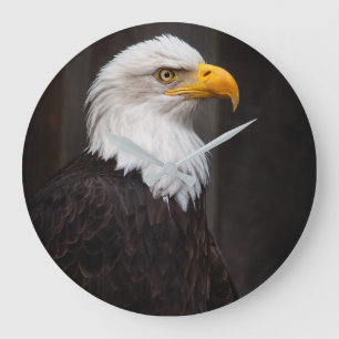 bald eagle große wanduhr