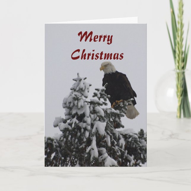 Bald Eagle Grußkarte Feiertagskarte (Vorderseite)