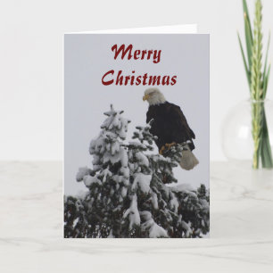 Bald Eagle Grußkarte Feiertagskarte