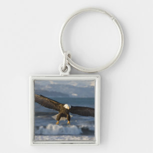 Bald Eagle, Haliäetus leucocephalus, Homer, 3 Schlüsselanhänger