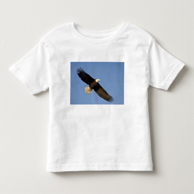 Bald Eagle, Haliäetus leucocephalus, Homer, 4 Kleinkind T-shirt (Vorderseite)
