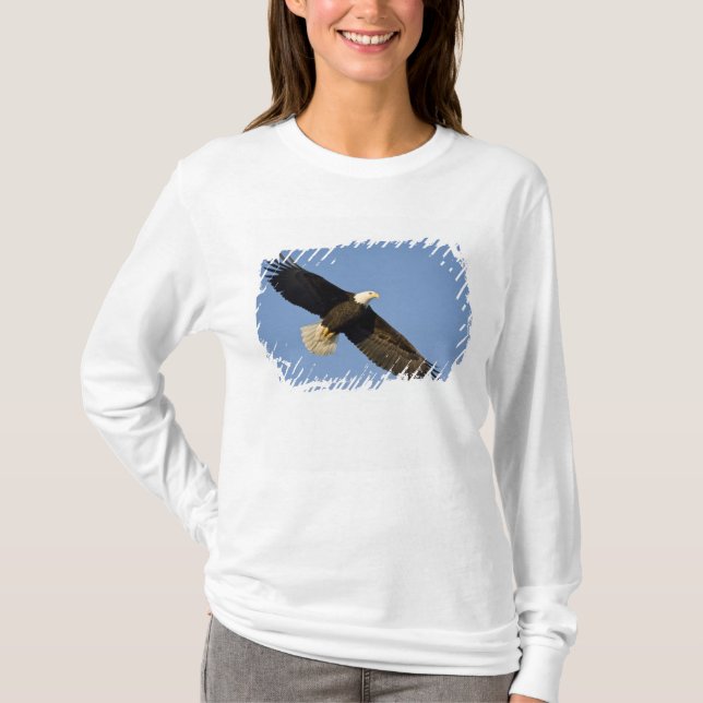 Bald Eagle, Haliäetus leucocephalus, Homer, 4 T-Shirt (Vorderseite)