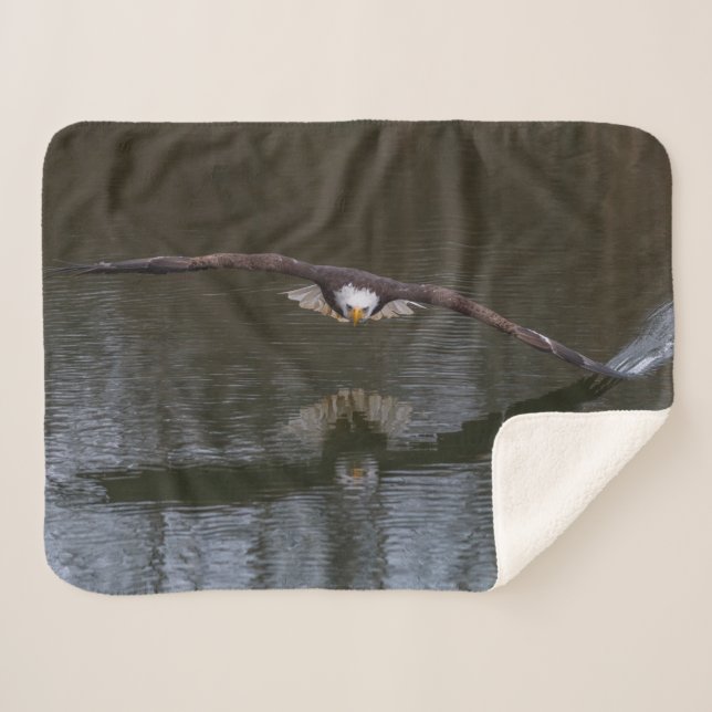 Bald Eagle im Flight Sherpa Blanket Sherpadecke (Vorderseite (Horizontal))