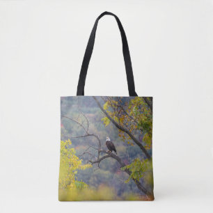 Bald Eagle im Herbst
