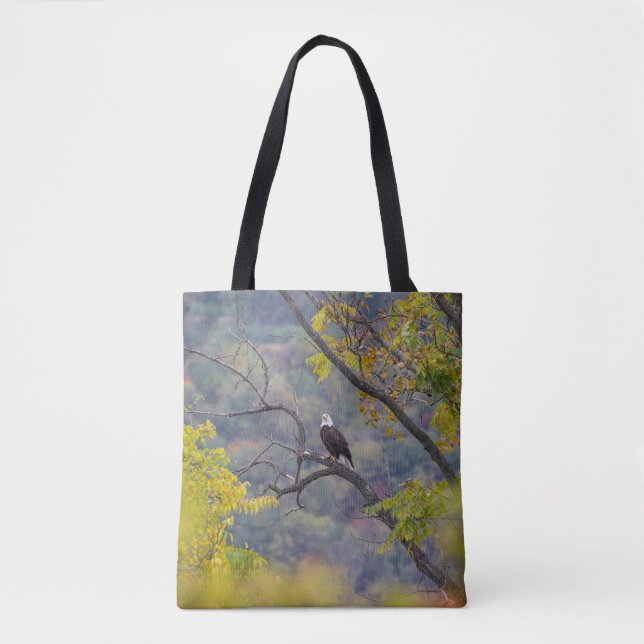 Bald Eagle im Herbst (Vorderseite)