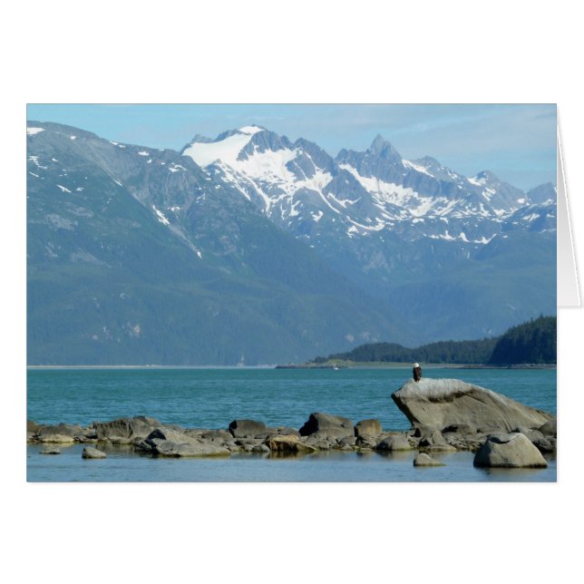 Bald Eagle im Skagway Alaska (Vorderseite (Horizontal))