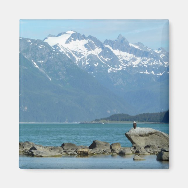 Bald Eagle im Skagway Alaska Magnet (Vorne)