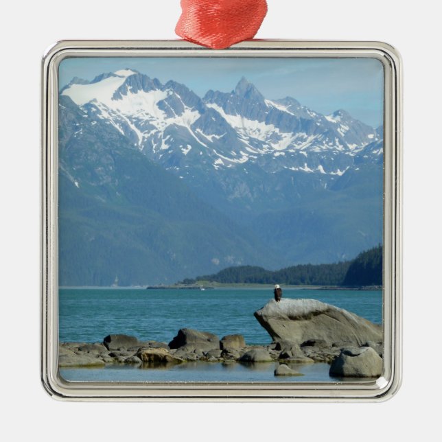 Bald Eagle im Skagway Alaska Ornament Aus Metall (Vorne)