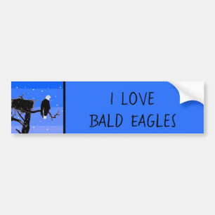 Bald Eagle im Winter - Original Wildlife Art Autoaufkleber