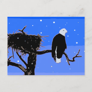 Bald Eagle im Winter - Original Wildlife Art Postkarte