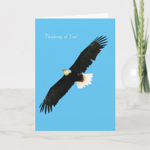 Bald Eagle image for Greeting-card Karte