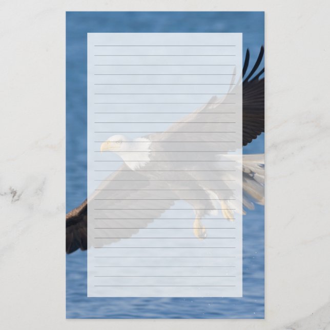 Bald eagle in flight briefpapier (Vorderseite)