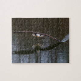 Bald Eagle in Flight Jigsaw Puzzle