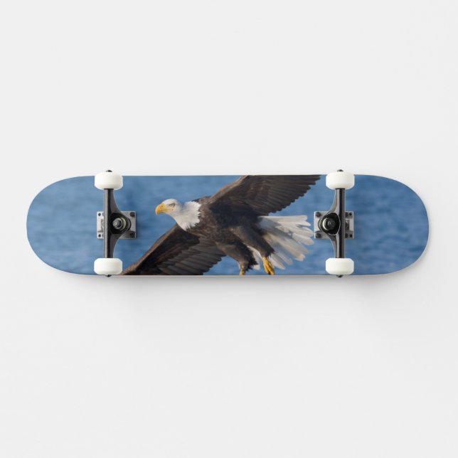 Bald eagle in flight skateboard (Horizontal)