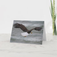 Bald Eagle Jagd Danke Karte