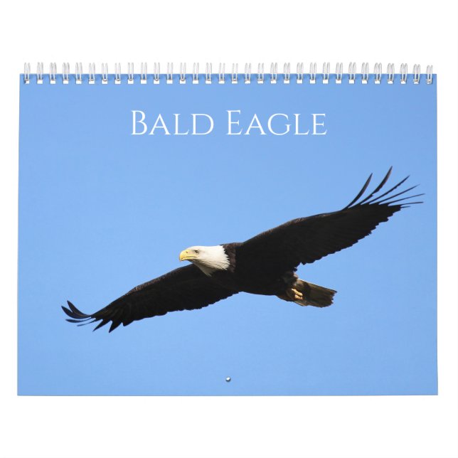 Bald Eagle Kalender (Titelbild)