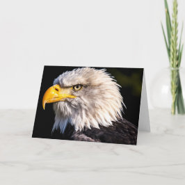 Bald Eagle Karte