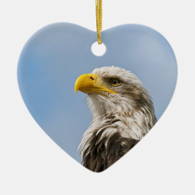 Bald Eagle Keramik Ornament (Vorne)