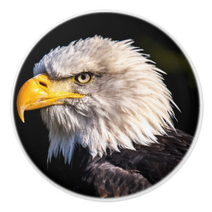 Bald Eagle Keramikknauf