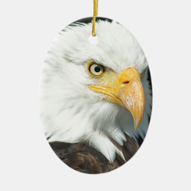 Bald Eagle Keramikornament (Vorne)