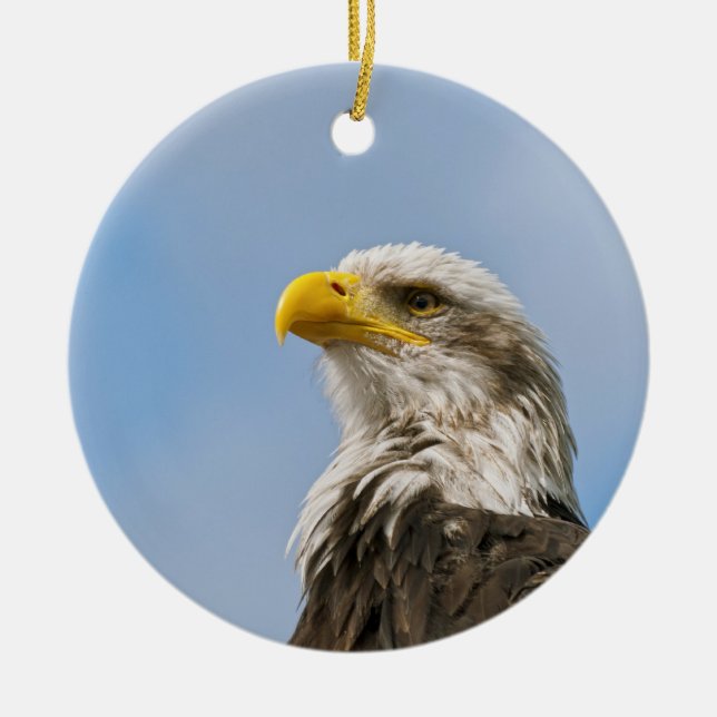 Bald Eagle Keramikornament (Vorne)