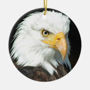 Bald Eagle Keramikornament