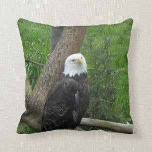 Bald Eagle Kissen