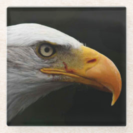Bald Eagle Küstenercnm Glasuntersetzer
