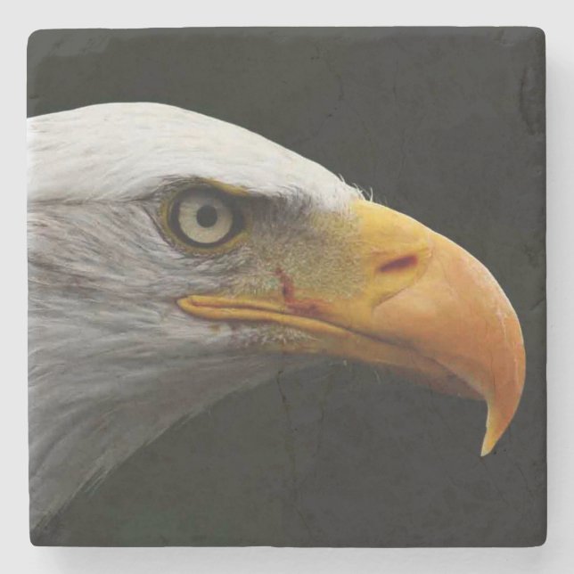 Bald Eagle Küstenercnm Steinuntersetzer (Vorderseite)