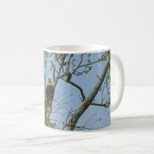 Bald Eagle Lächeln Kaffee Tasse