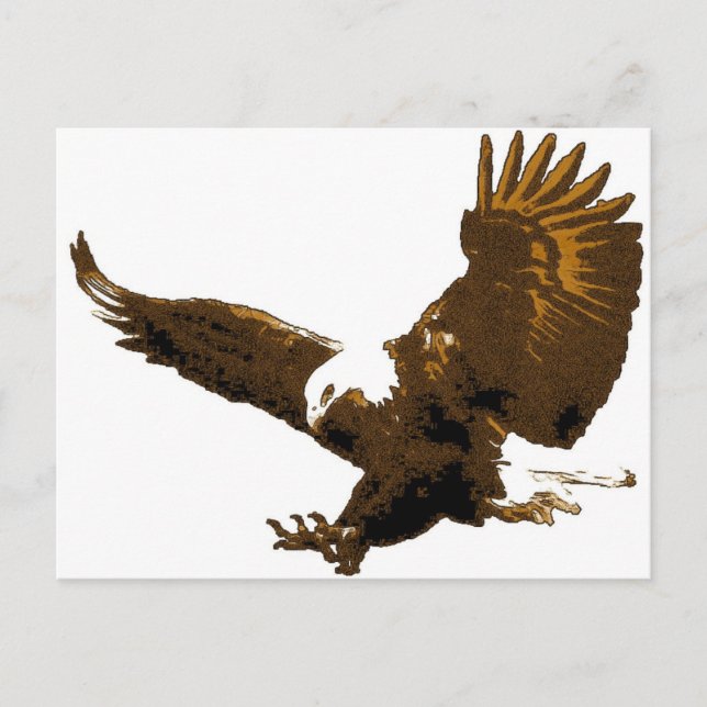 Bald Eagle Landing Postkarte (Vorderseite)