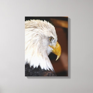 Bald Eagle Leinwanddruck