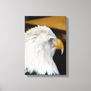 Bald Eagle Leinwanddruck