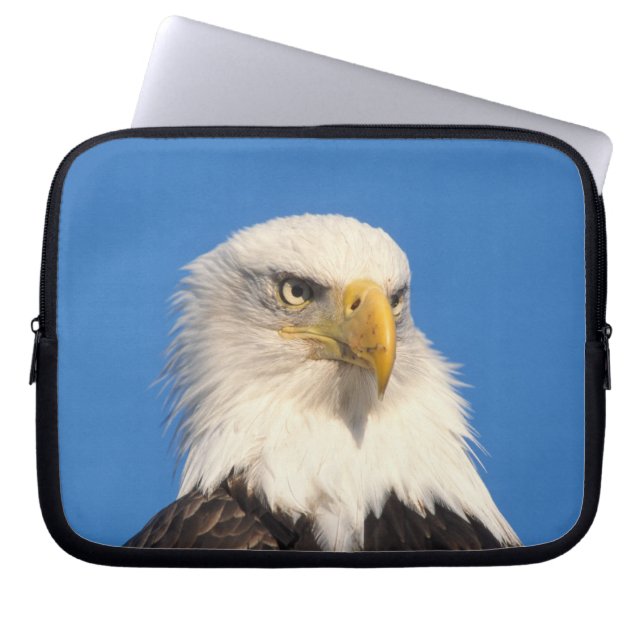 Bald Eagle Look Laptopschutzhülle (Vorderseite)