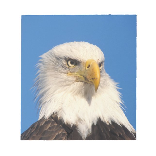 Bald Eagle Look Notizblock (Vorderseite)